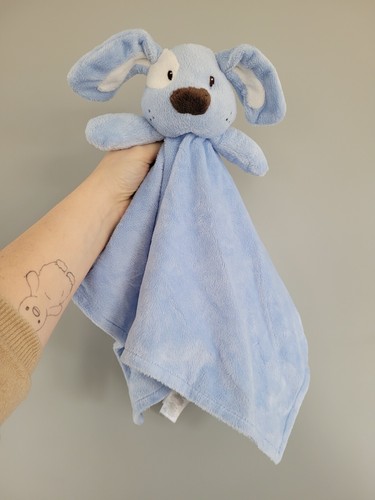 Early days blue dog puppy - days,