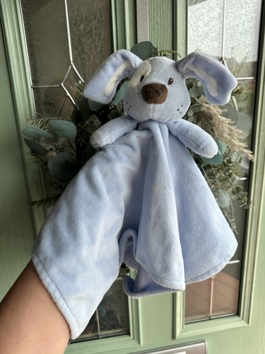 Early days blue - days, puppy